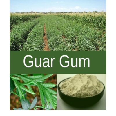 explains everything you need to know about guar gum