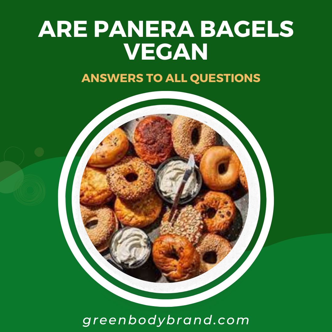 Are Panera Bagels Vegan